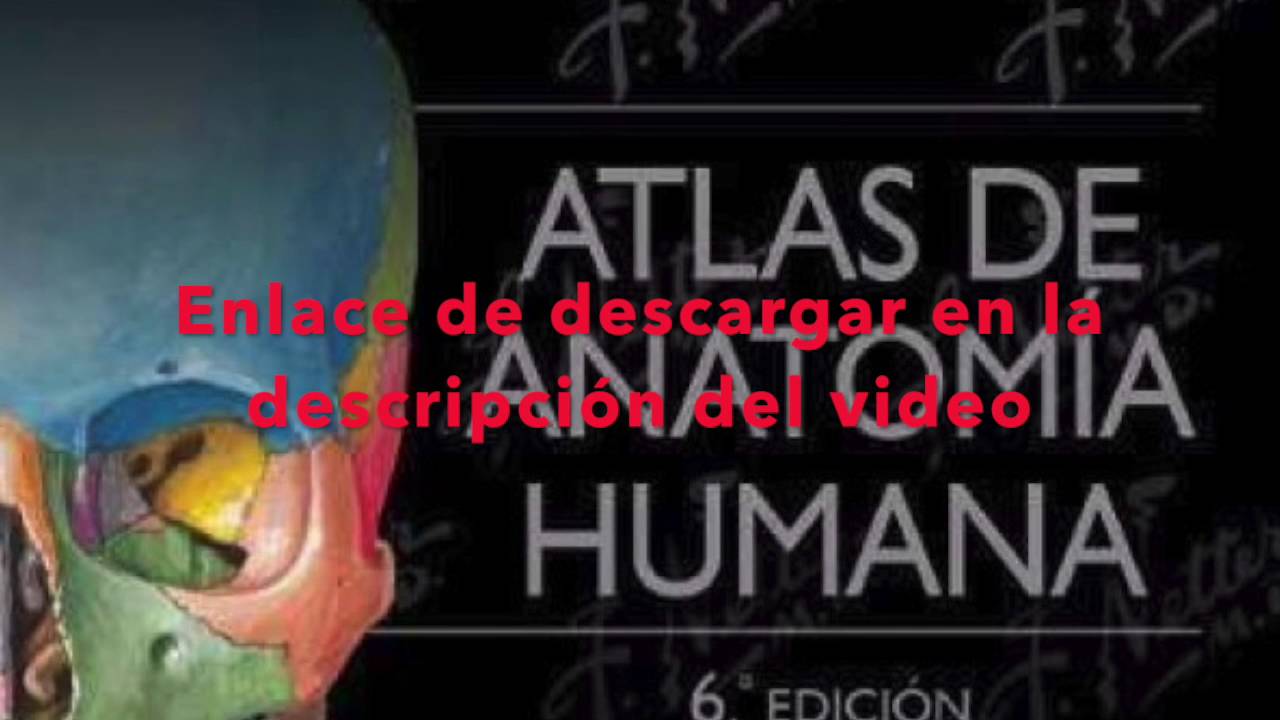 Watch Now DESCARGAR Netter Atlas de anatomia humana (PDF/googledrive) DESCARGAR Netter Atlas de anatomia humana (PDF/googledrive)