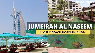 LUXURY Beach HOTEL in Jumeirah Dubai!! Al Naseem Turtle Lagoon Weekend Walk | 4K (Walking Tour)