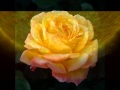 ANDREA BOCELLI - BELLISSIME STELLE