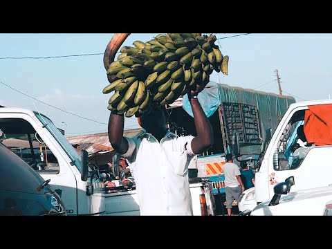 David Jay - ISSA.VIBE ft. Cheflano (Official Video) (Prod. By Flavaone)