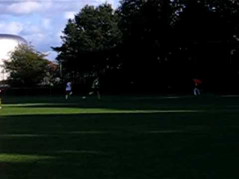 huizen - valleivogels