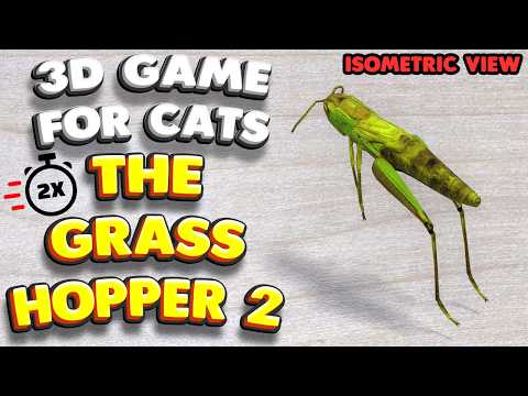 3D-Spiel für Katzen | Fang die Heuschrecke 2 (isometrische Ansicht) | 4K, 60 fps, Stereoton