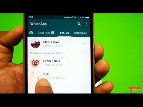 Cara Melihat Status Wa Tanpa Terlihat