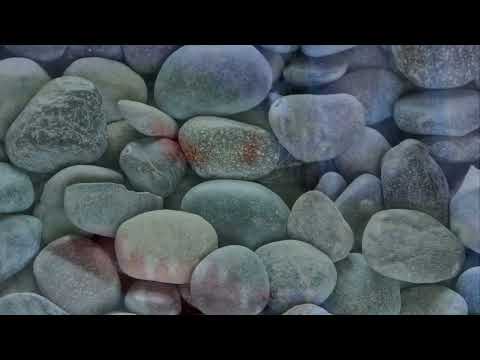 The Rescuers Down Under part 17 captured/DIL tries to eat Elsa’s eggs 