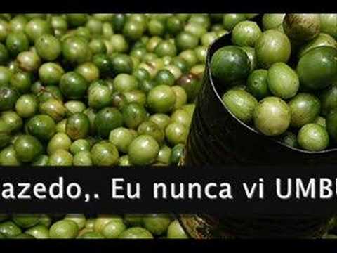 Umbu Azedo - Besteirol