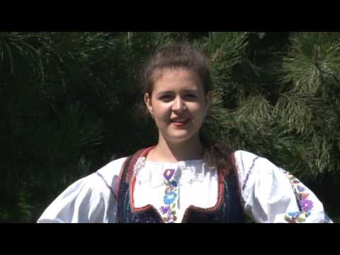 Mădălina Pacurar   Dorule judecător