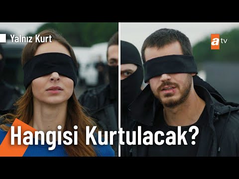 Altay ve Meryem teslim edilecek mi? - Yalnız Kurt 31. Bölüm