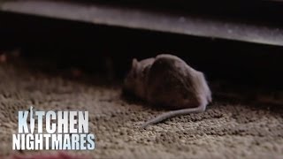 Gordon Accused Of Planting Dead Mouse at Restaurant Door - Kitchen Nightmares