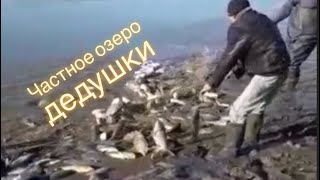 Ссылка