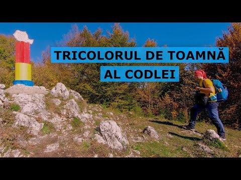 Drumetie in culori de toamna pe Magura Codlei (Acasa, in natura - Ep. 28)