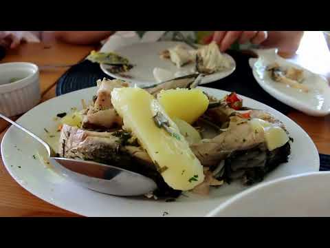 CONCEDIU in Delta Dunarii la Pensiunea "Splendoarea Deltei" din Maliuc, Tulcea - 17-21 August 2025