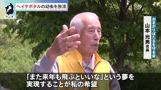 5月12日【びわ湖放送ニュース】【記者解説】ホタルの飛び交う里づくりへ　ヘイケボタルの幼虫を放流