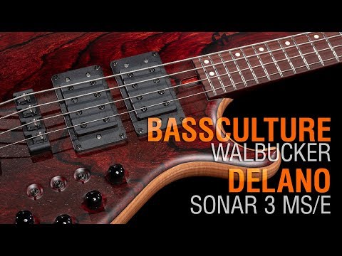 Bassculture Walbucker + Delano Sonar 3 MS/E // Maruszczyk Paddock 4a Headless