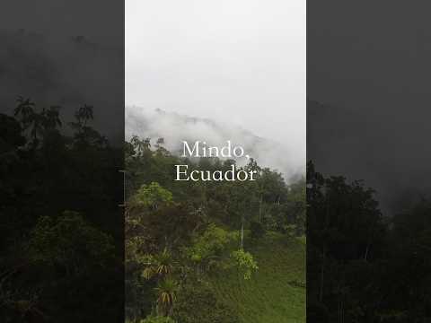 60 Seconds in Mindo, Ecuador ☁️🇪🇨