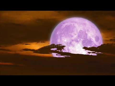 Handapane Weli Thala /Amaradeva, Kumaratunga Munidasa, මුල් ගායනය 1950 දශකයේ , මෙය පසුව කළ ගායනයකි