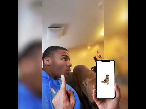 Funny prank soundboard