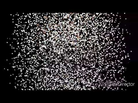 Romeo alushi new hit