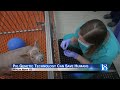 Health News 18 Scientists Have Discovered Pigs Could Be The Future Of Human Organ Transplants