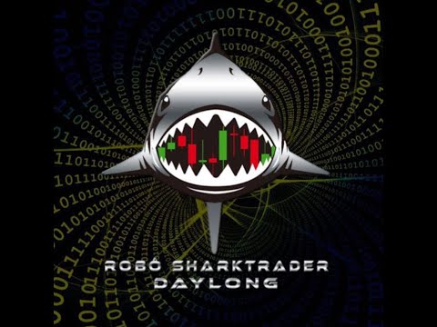 Video Bot DayLong Completo