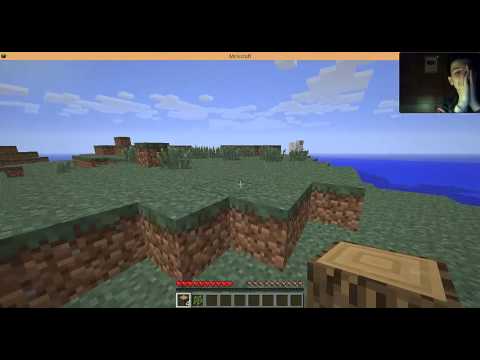 BIMBO NABBO SU MINECRAFT