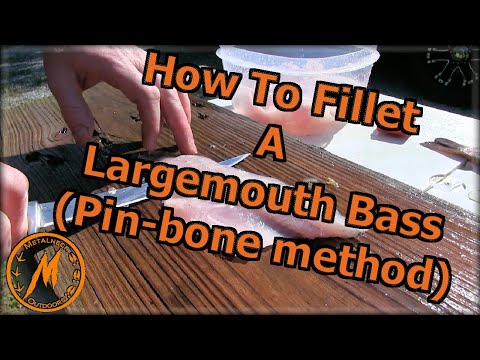 How to Fillet a Largemouth Bass using the Pin-bone Method