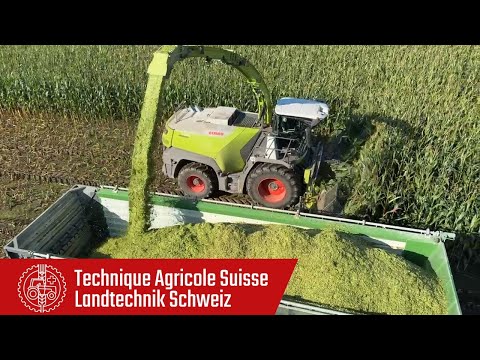 Claas: Jaguar 1000 forage harvester in use on maize