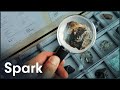 The Rare-Earth Elements That Will Change Our Future | Treasure Hunters | Spark