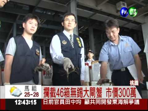 無錫大閘蟹"偷渡" 海關攔截46箱