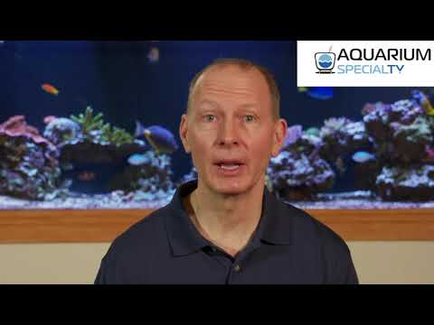 SpectraPure MaxCap Performance Plus RODI System