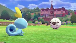 ポケモン剣盾#002-ポケモン初ゲットだぜ！