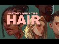 Anatomy Quick Tips: Hair Anatomy Quick Tips: Hair