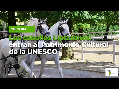 , title : 'Los caballos Lipizzanos: entran al Patrimonio Cultural de la UNESCO'