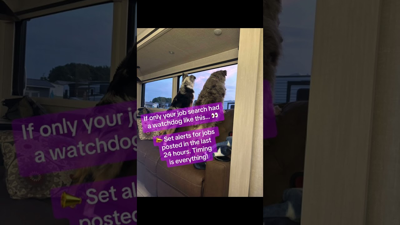 Job Alerts = More Interviews