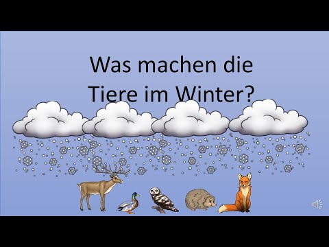 Tiere im Winter