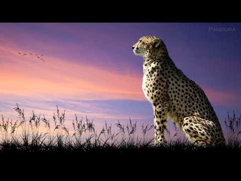 Marcus Warner - Africa [Beautiful Inspirational Uplifting]