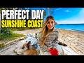 Brits In Australia Beach Days Wildlife World Cup Heartbreak