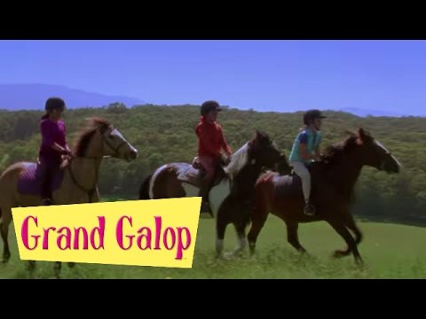 Grand Galop 103 - La course d'obstacle (Partie 1) | HD | Épisode Complet