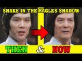 Jackie Chans Snake In The Eagle S Shadow Cast Then And Now