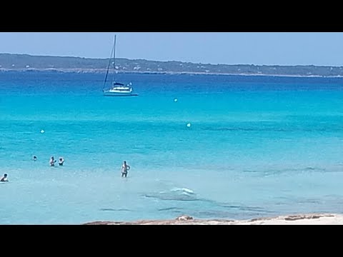 HOTEL RIU PALACE LA MOLA (Formentera) - Férias perfeitas neste lugar incrível