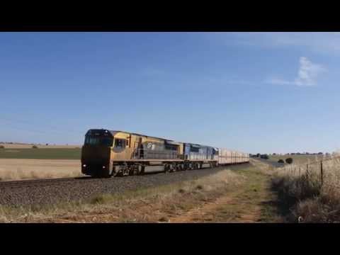 Junee Trains LDP008 & LDP003 with 5BM7