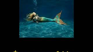 Tipografia Sereia - Henrique e Juliano Para status