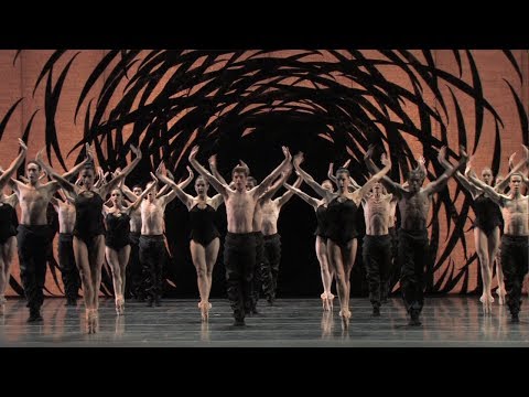 Crystal Pite's Emergence - excerpt