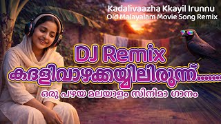 Download lagu Kadhalivazha Kayyilirunnu Remix | കദളിവാഴക്കയ്യിലിരുന്ന്.... REMIX 2025 mp3