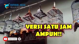 Download lagu Terapi Suara Pleci Ombyokan Ngalas Mantap VERSI SA... mp3