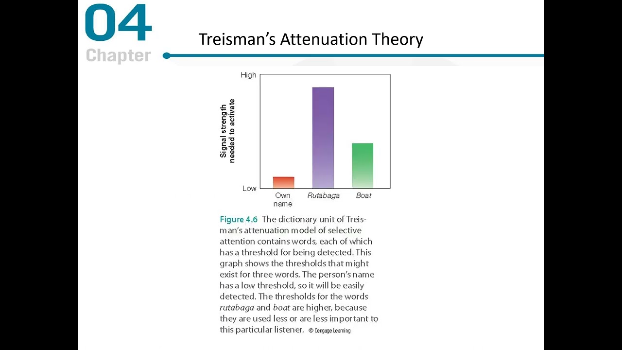 Cognitive Psychology Chapter 4 Lecture
