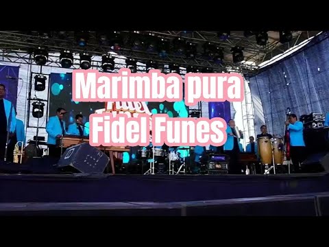 Marimba Pura Fidel Funes