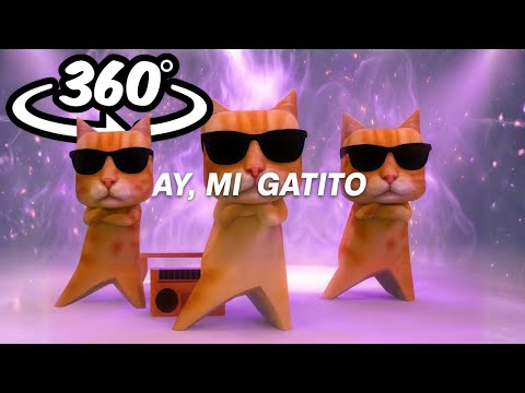 MONTAGEM MIAU in 360°| ay mi gatito miau miau