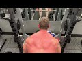 Barbell rows / pull ups