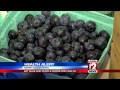 Health Alert Blueberry Power