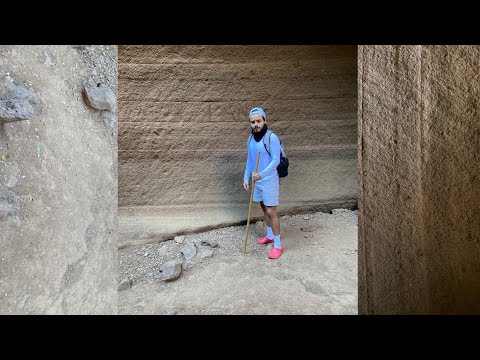 Pokémon Verde Evo-locke. Capítulo 8. Esto es... Wild Frank!